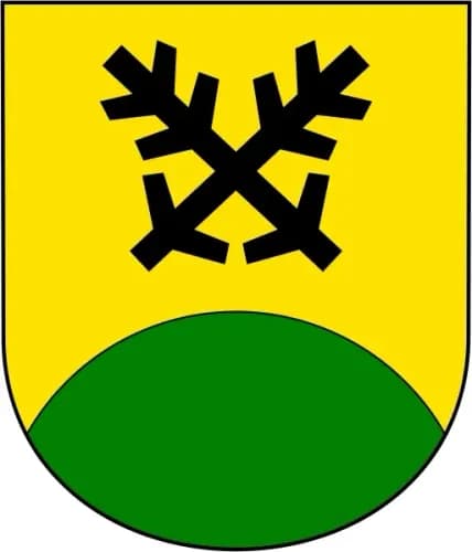 batnovice.webp